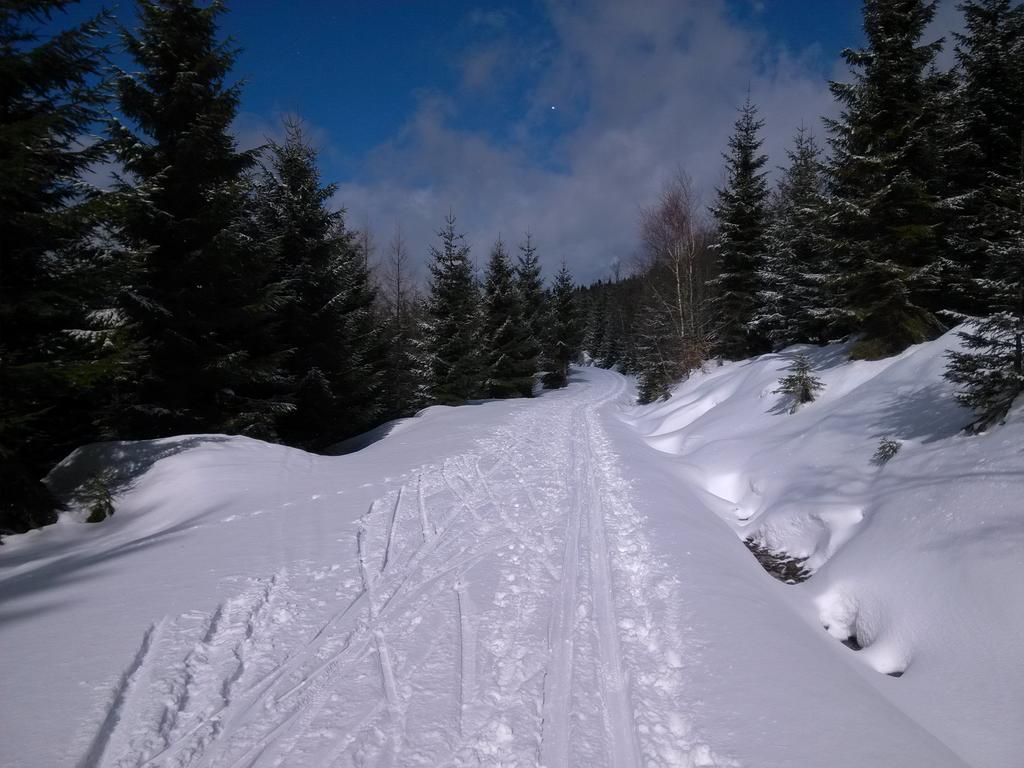 Pension & Restaurant Krakonos Harrachov Eksteriør billede